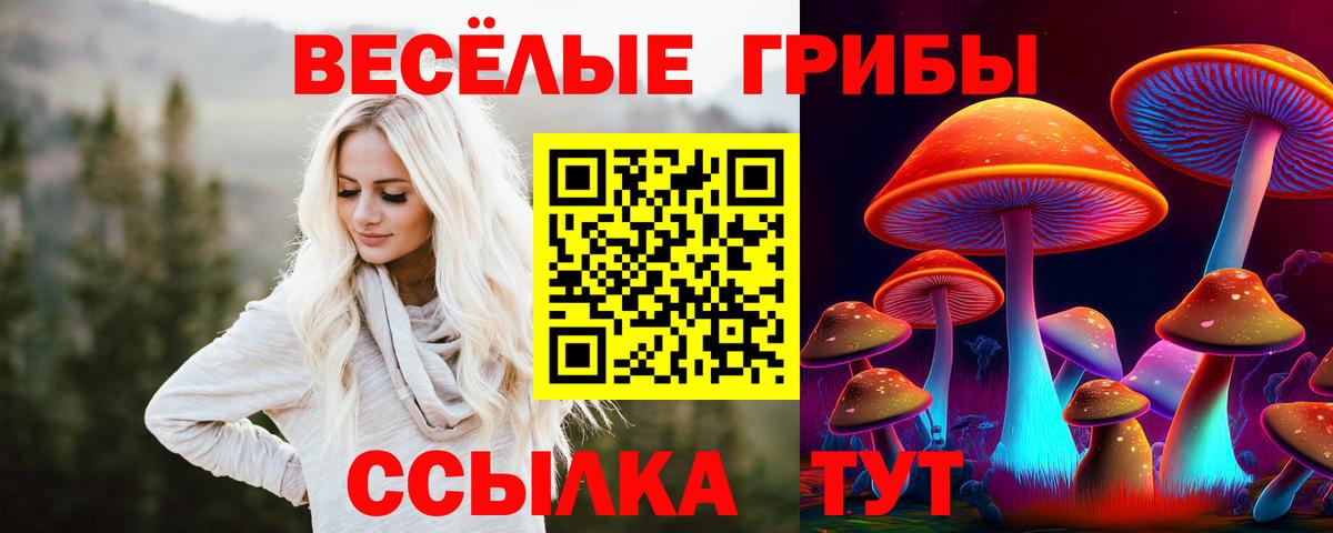 Бугуруслан  Галлюциногенные грибы прущие грибы  Вход с VPN 
